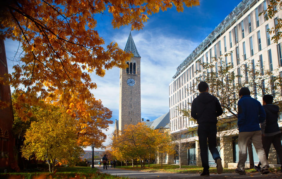 Students walking past Olin Library towards the Cornell Clock Tower in the Fall.